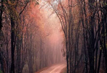 旺财28官网：2-1，21岁日本球星利剑出鞘，助昔日英超劲旅晋级足总杯第4轮.