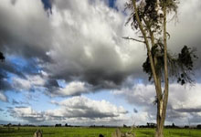 正赛首秀在即 仲村京雅期待尽快为雄狮队进球.